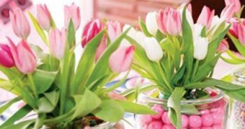 FENG SHUI – cvijeće i ostale biljke