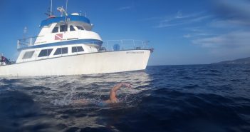 Dina Levačić preplivala kanal Catalina Dina Levačić Catalina
