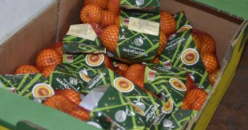 Certificirane neretvanske mandarine na policama trgovina neretvanska-mandarina