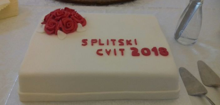 splitski cvit