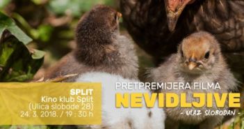 Nevidljive