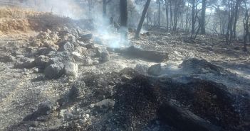 Kod Mokala ponovno bile ugrožene kuće Pelješac 2018.