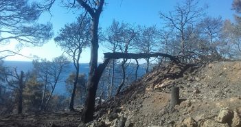 Pelješac 2018.