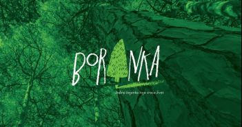 Nagrađena Boranka! boranka