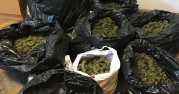 Na trogirskom području zaplijenjeno više od 17 kg marihuane