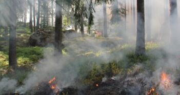 Lokaliziran požar kod Vrpolja, jedna osoba privedena