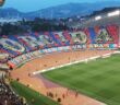 hajduk