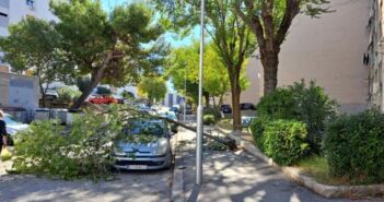 Split: U Požeškoj ulici grana pala na automobil