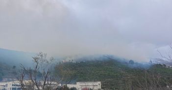 Požar u Privoru kraj Žrnovnice, gašenje otežava jak vjetar